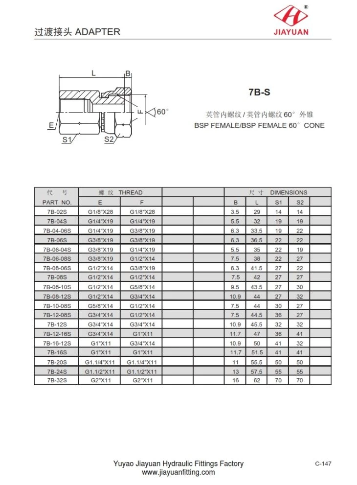 BSP Female BSP Swivel Adapter