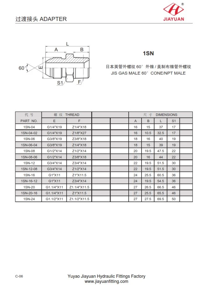 60 Cone NPT-Stecker