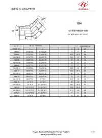 BSP Union Elbow Adapter