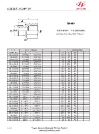 BSP Male Seat BSP Female Adapter