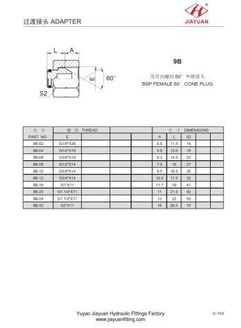 BSP Swivel Cone Plug