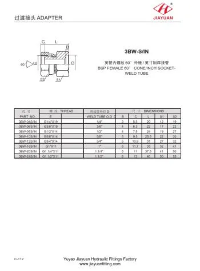 BSP Swivel Cone Socket Weld