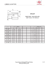 BSPT zu NPT-Adaptern