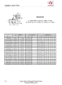 Winkel BSP Male E JIC Wirbel