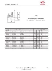 NPT-Hydraulikverschraubungen