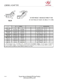 Männlicher BSP-Kegel JIC Flare E45