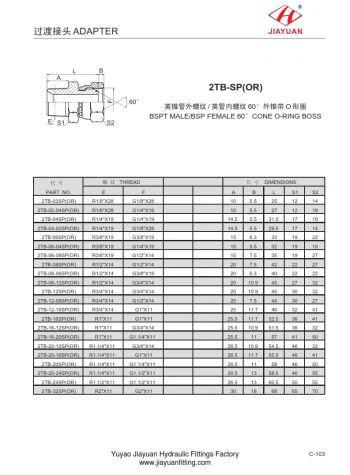 BSPT-Stecker BSPP-Buchse Schwenkkegel ODER