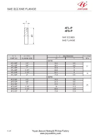 SAE Blindflanschstecker
