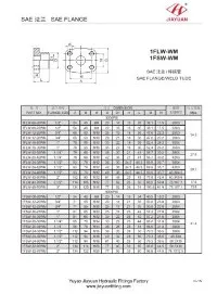 SAE-Gegenflanschblock-Muffenschweißung