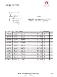 SAE zu NPT Adapter